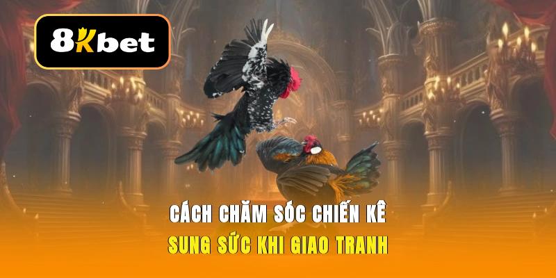 Cách nuôi gà đá với phương pháp om bóp bài bản