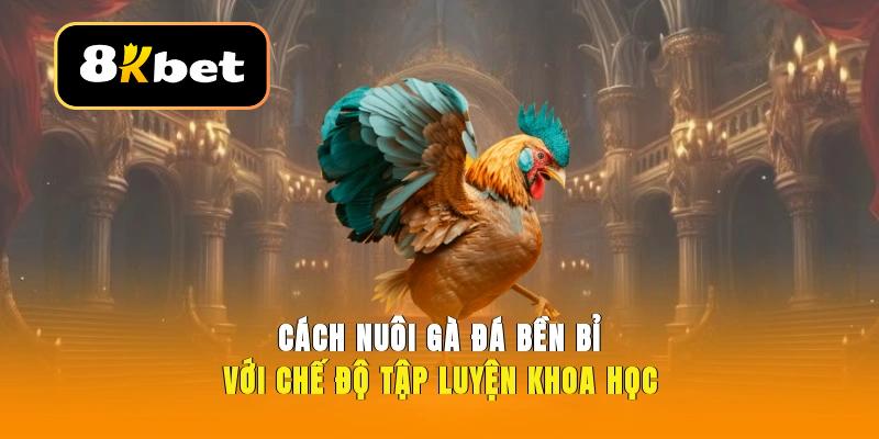 Những bài tập vần hơi rèn luyện kỹ năng thi đấu