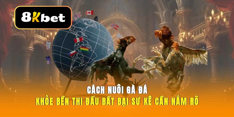 Cách nuôi gà đá