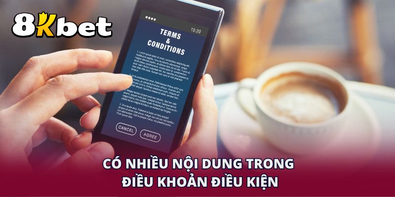 Có nhiều nội dung trong điều khoản điều kiện