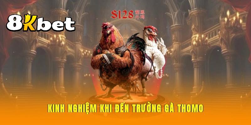 Trường gà Thomo hoạt động đông hơn vào cuối tuần