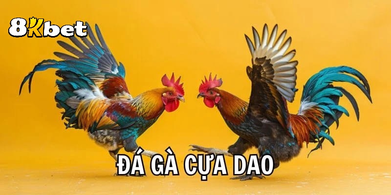 Đá gà cựa dao và thông tin giới thiệu