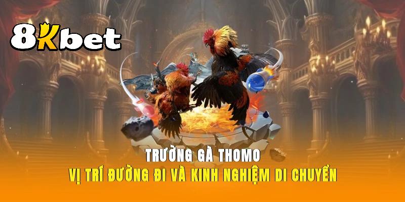 Trường gà Thomo